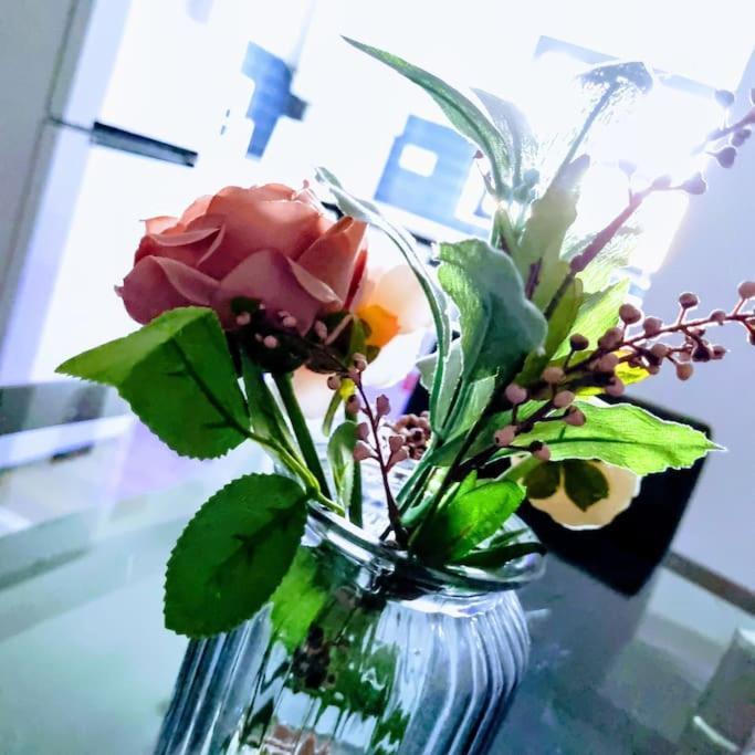 Beautiful Modern Apartment On Wick Lane London Eksteriør billede